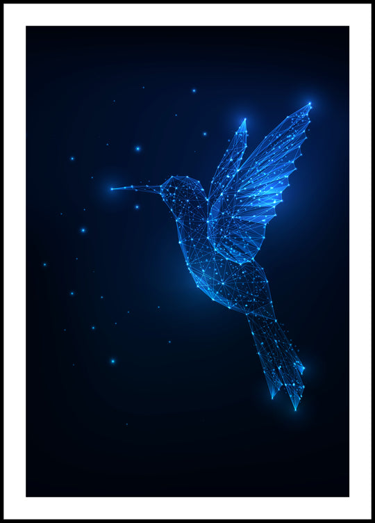 Hummingbird Poster