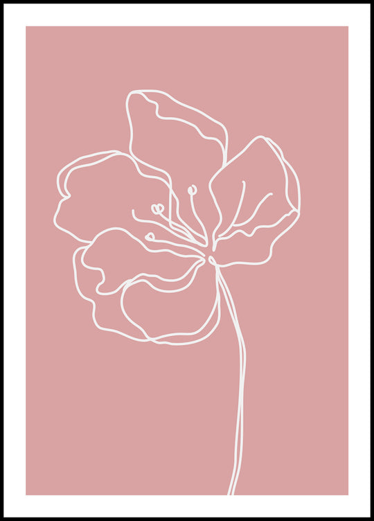 Pale Pink Flower Poster