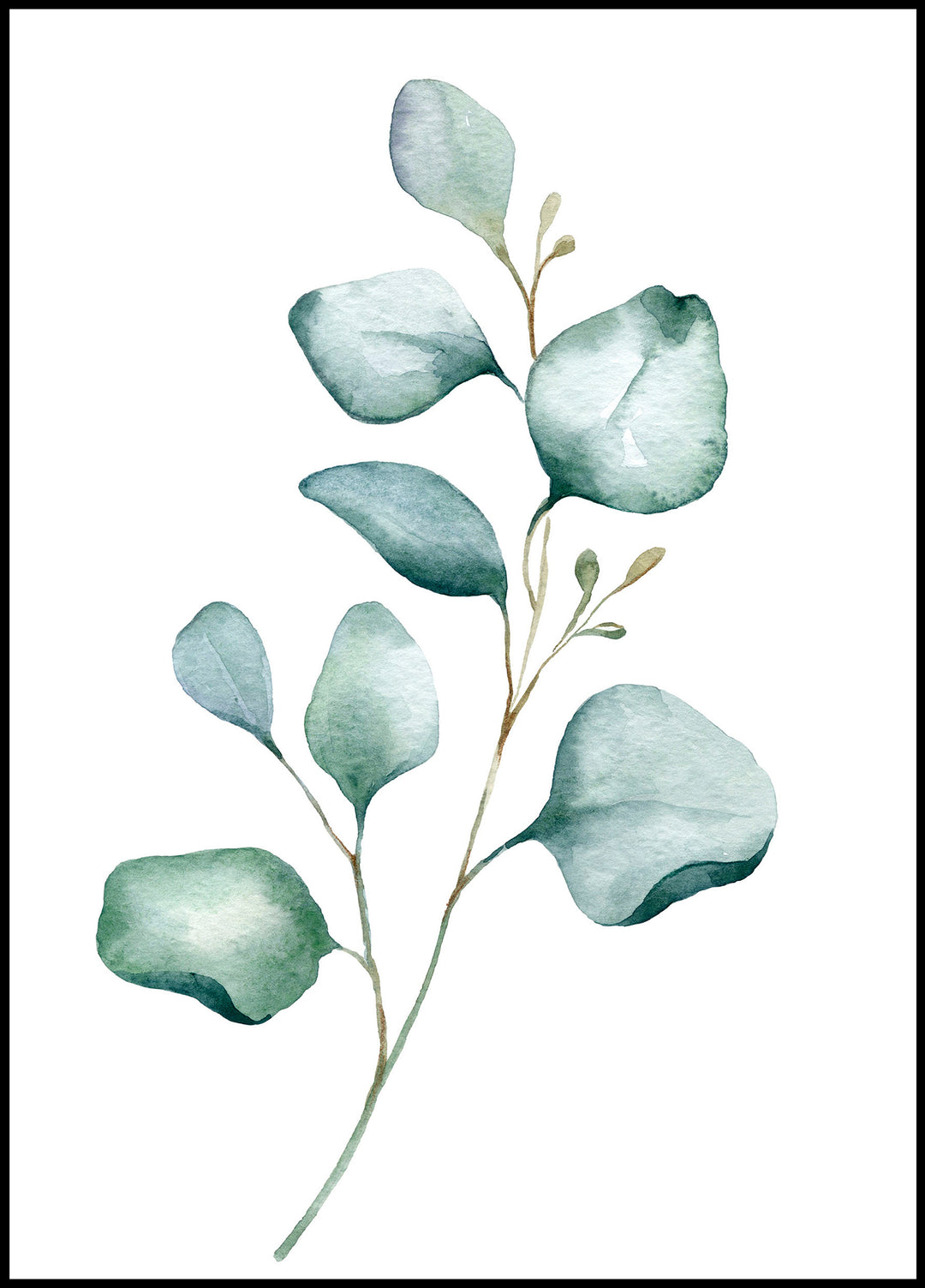 Green Eucalyptus Leaf Poster 1