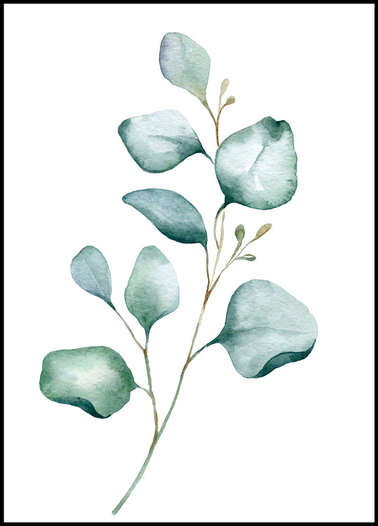 Green Eucalyptus Leaf Poster 1