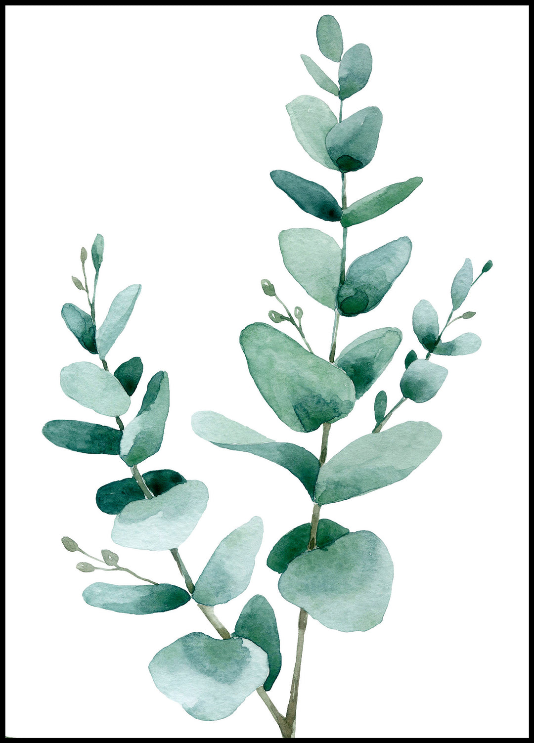 Green Eucalyptus Leaf Poster 2