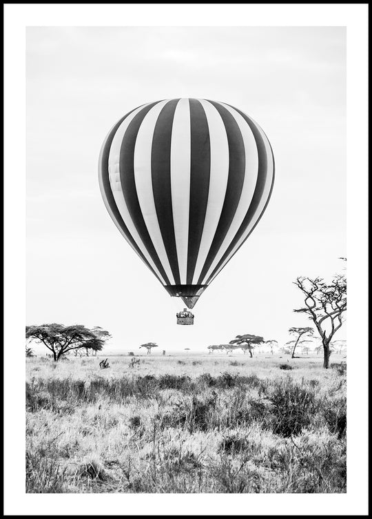 Balloon Poster