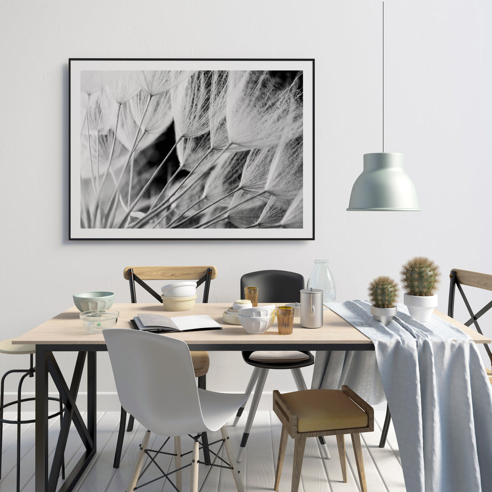 Dandelions Poster