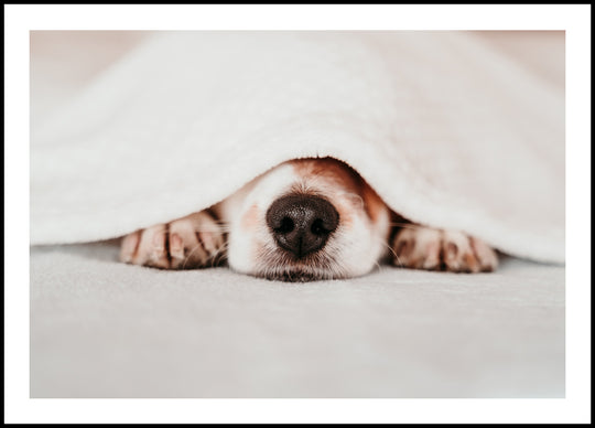Nap Poster