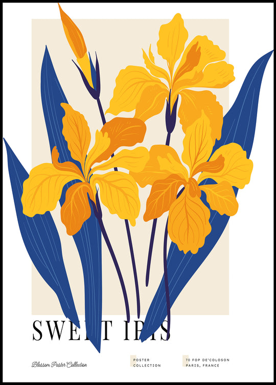 Irises poster