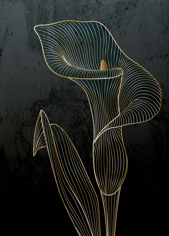 Ethiopian Calla lily poster 1