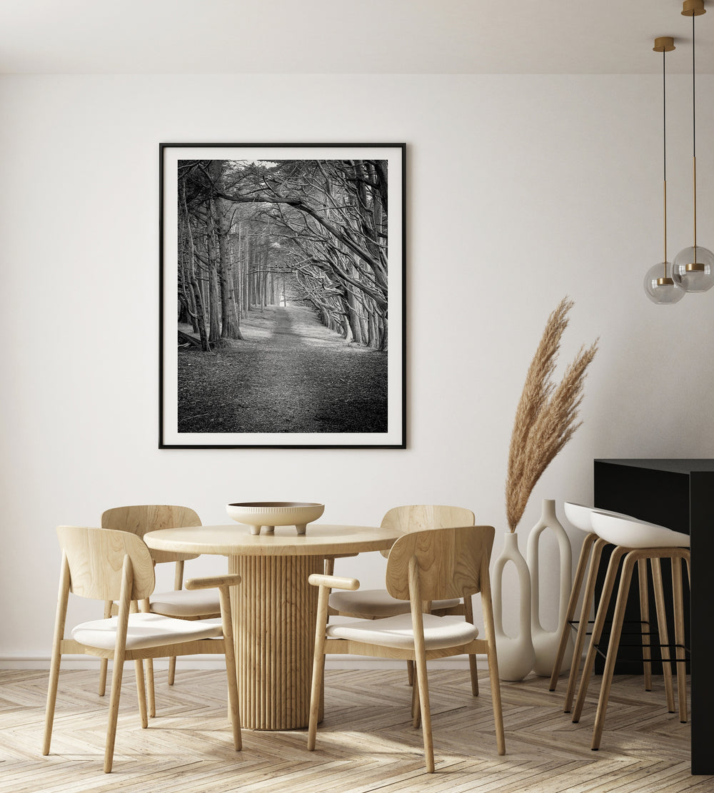 Poster Forest
