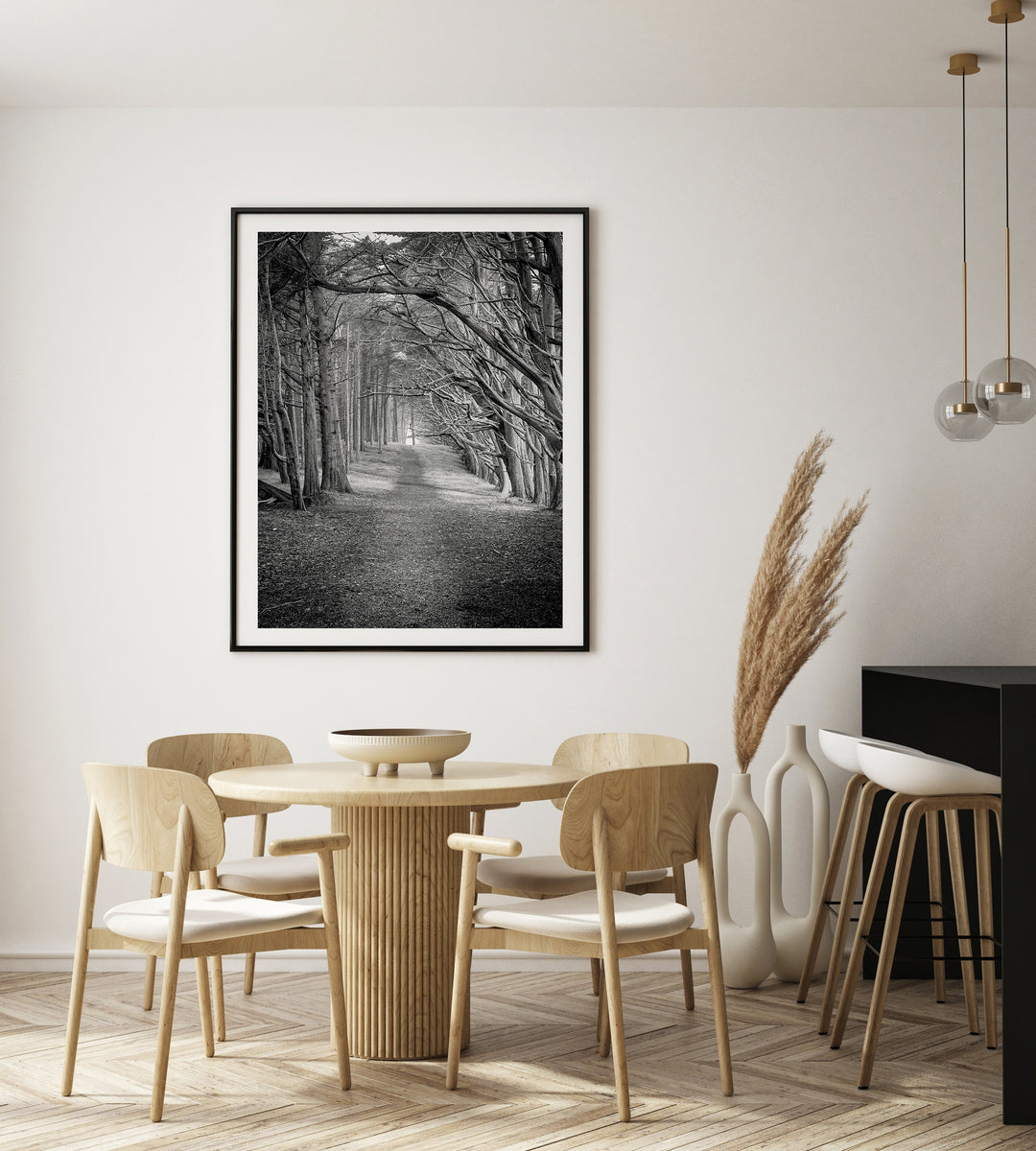 Poster Forest