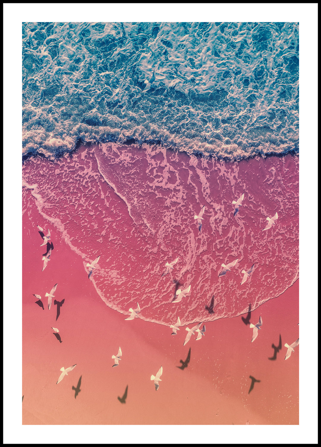 Seagulls on the Seashore Poster
