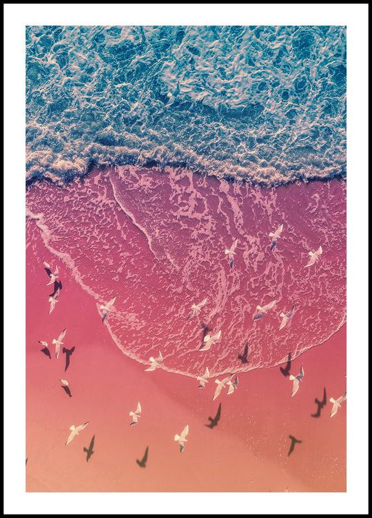 Seagulls on the Seashore Poster
