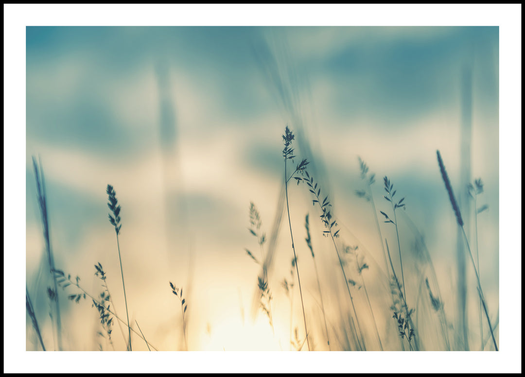 In the Meadow Poster