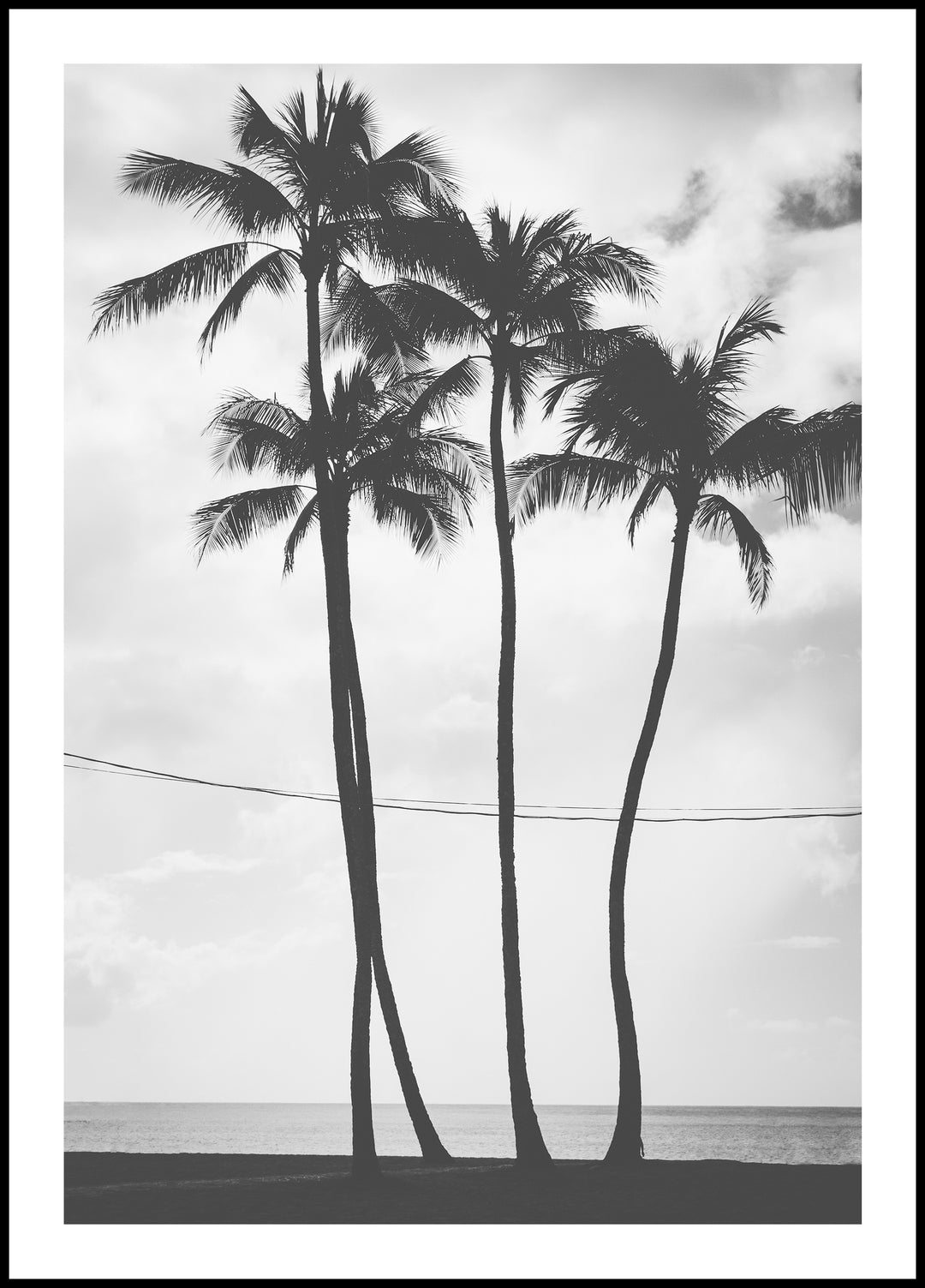 Palm Tree Poster