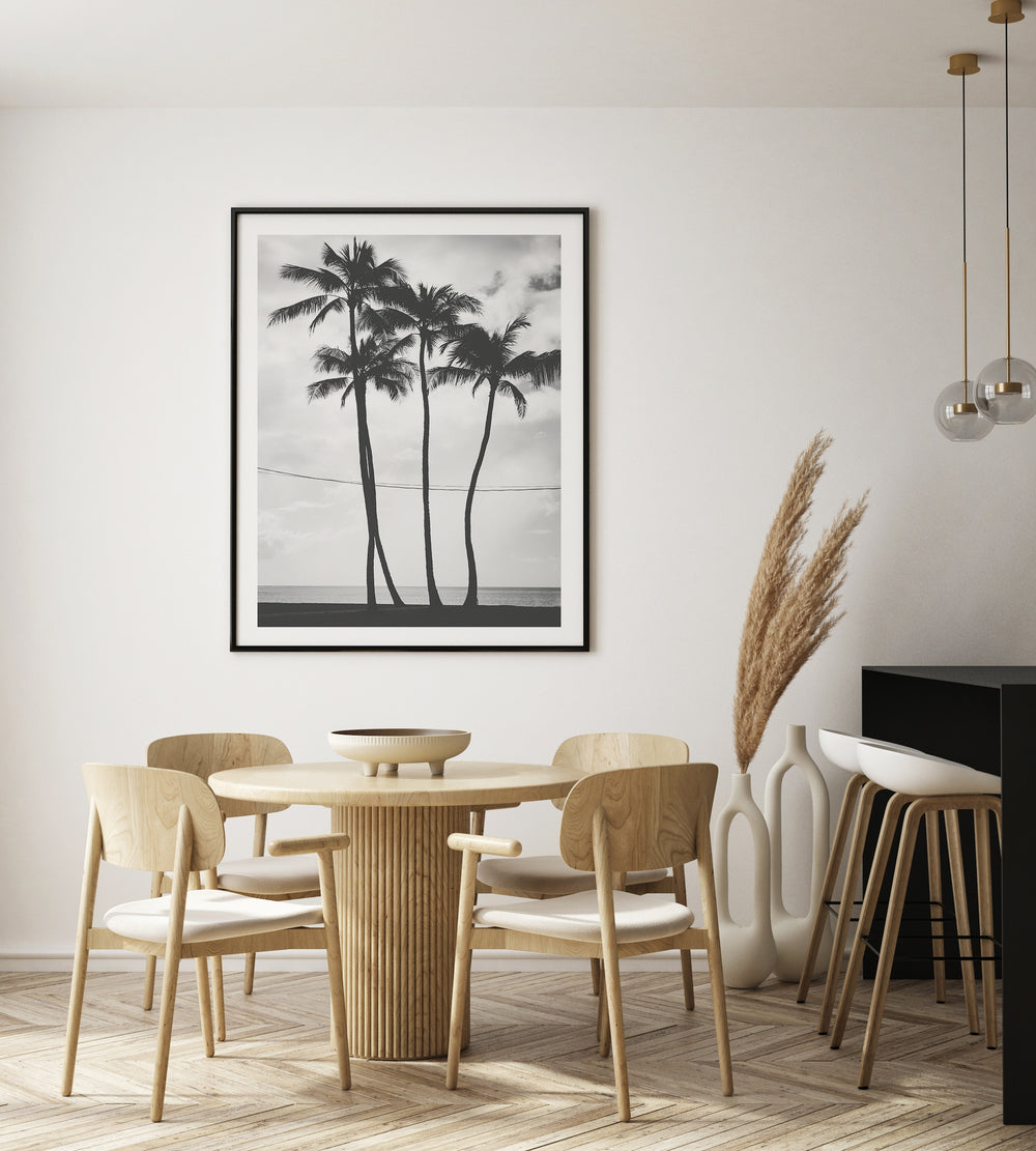 Palm Tree Poster