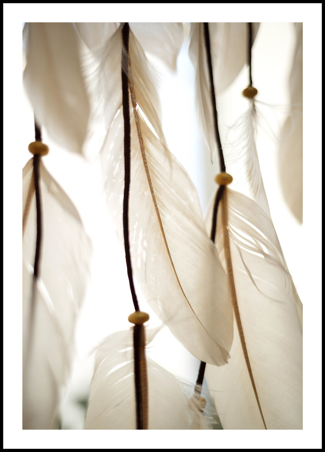 Feathers Poster