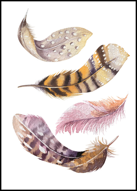 Feathers Poster