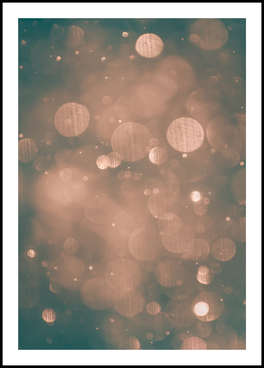 Snowflakes Poster