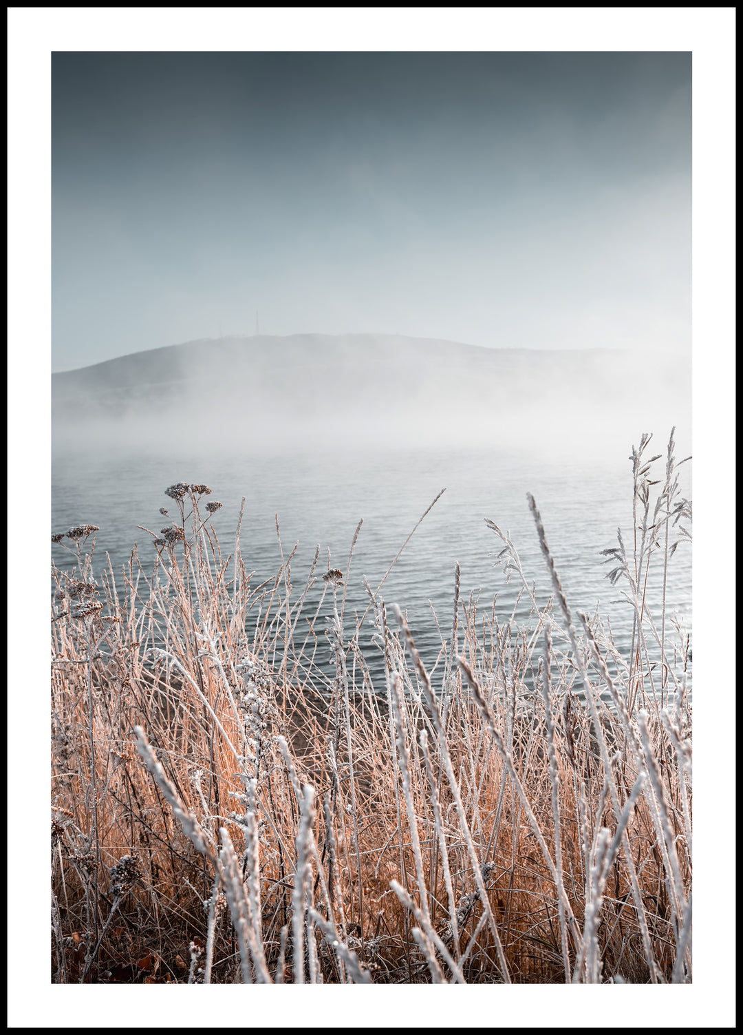Poster Morning at the Lake