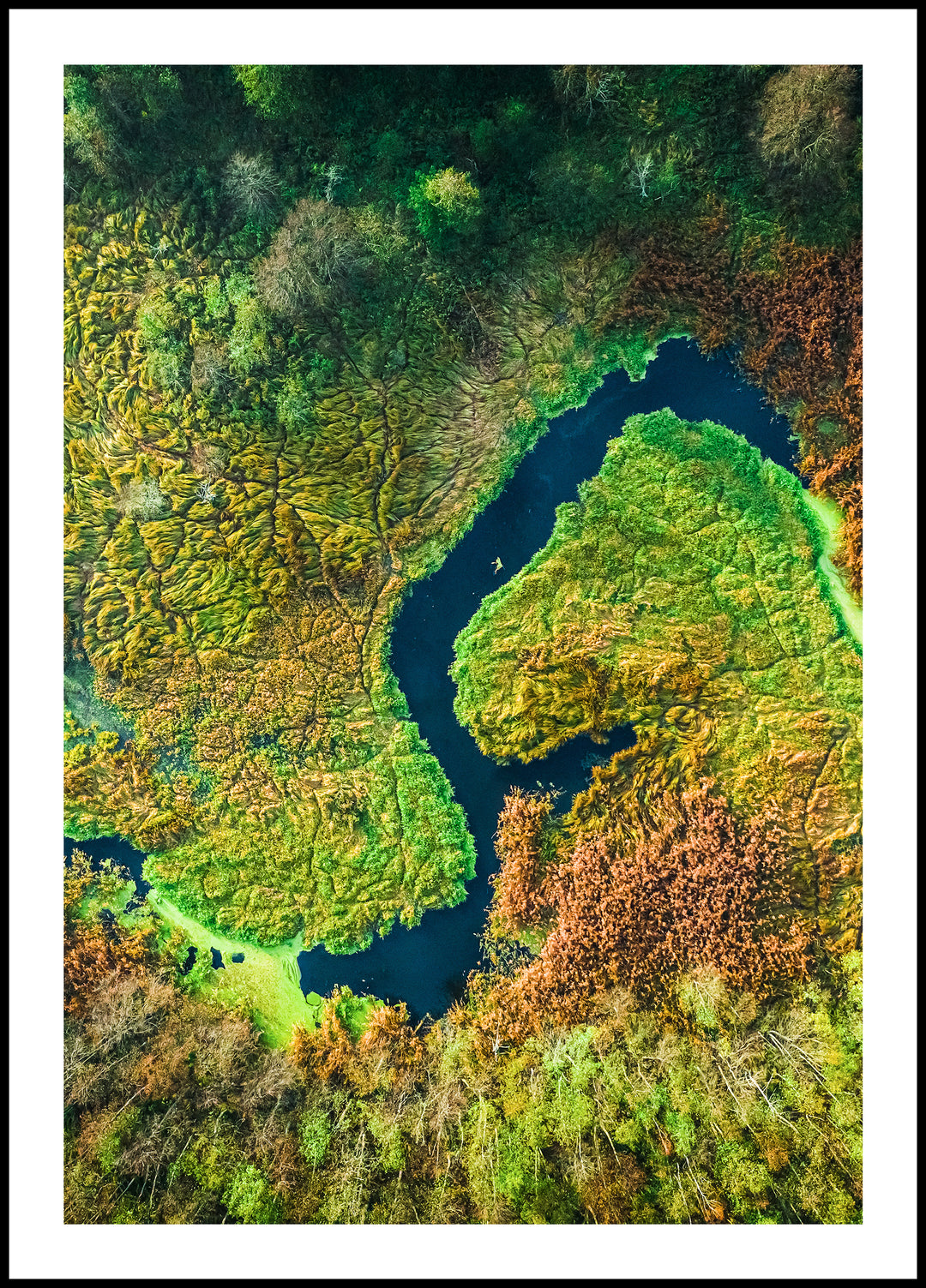 Poster River with backwaters