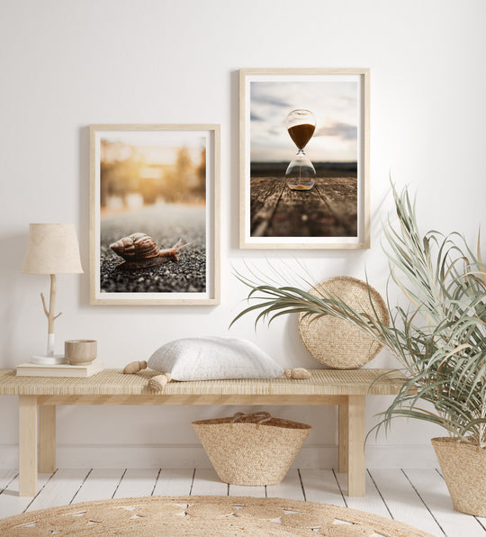 Snail Poster