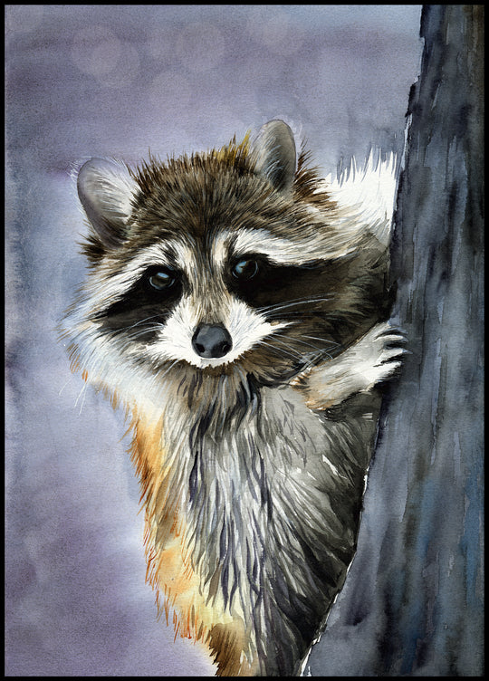 Raccoon Poster