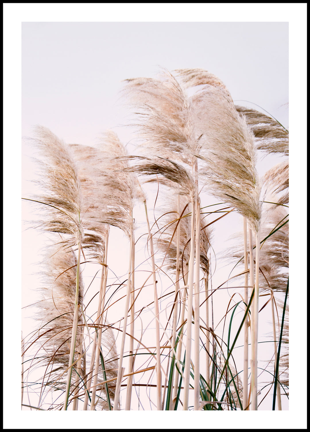 Grass Poster