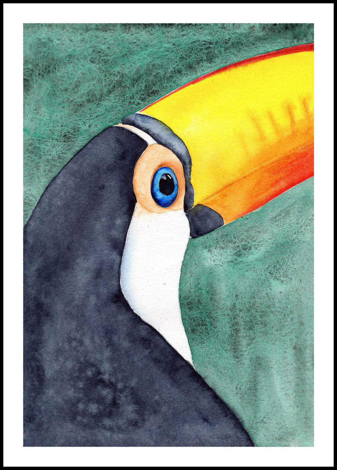 Toucan Poster