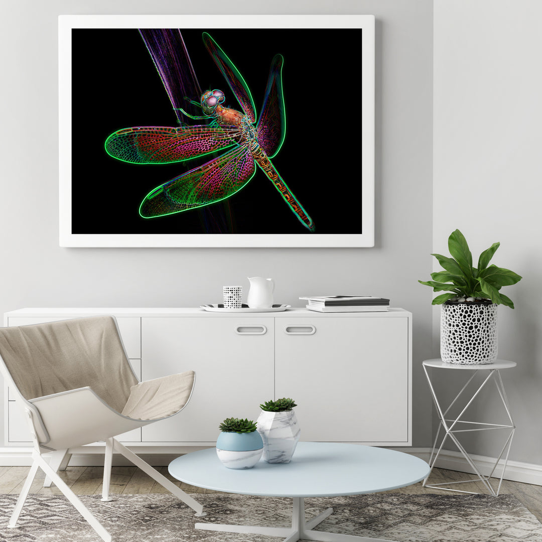 Poster Dragonfly with many wings