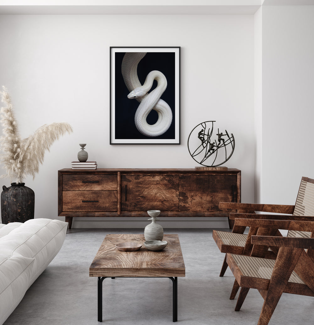 Poster The Snake