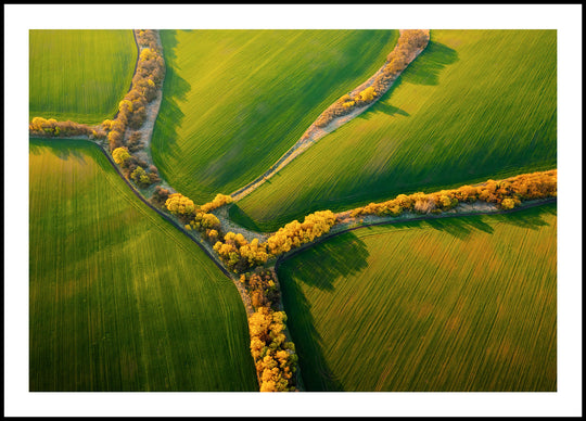 Green Fields Poster