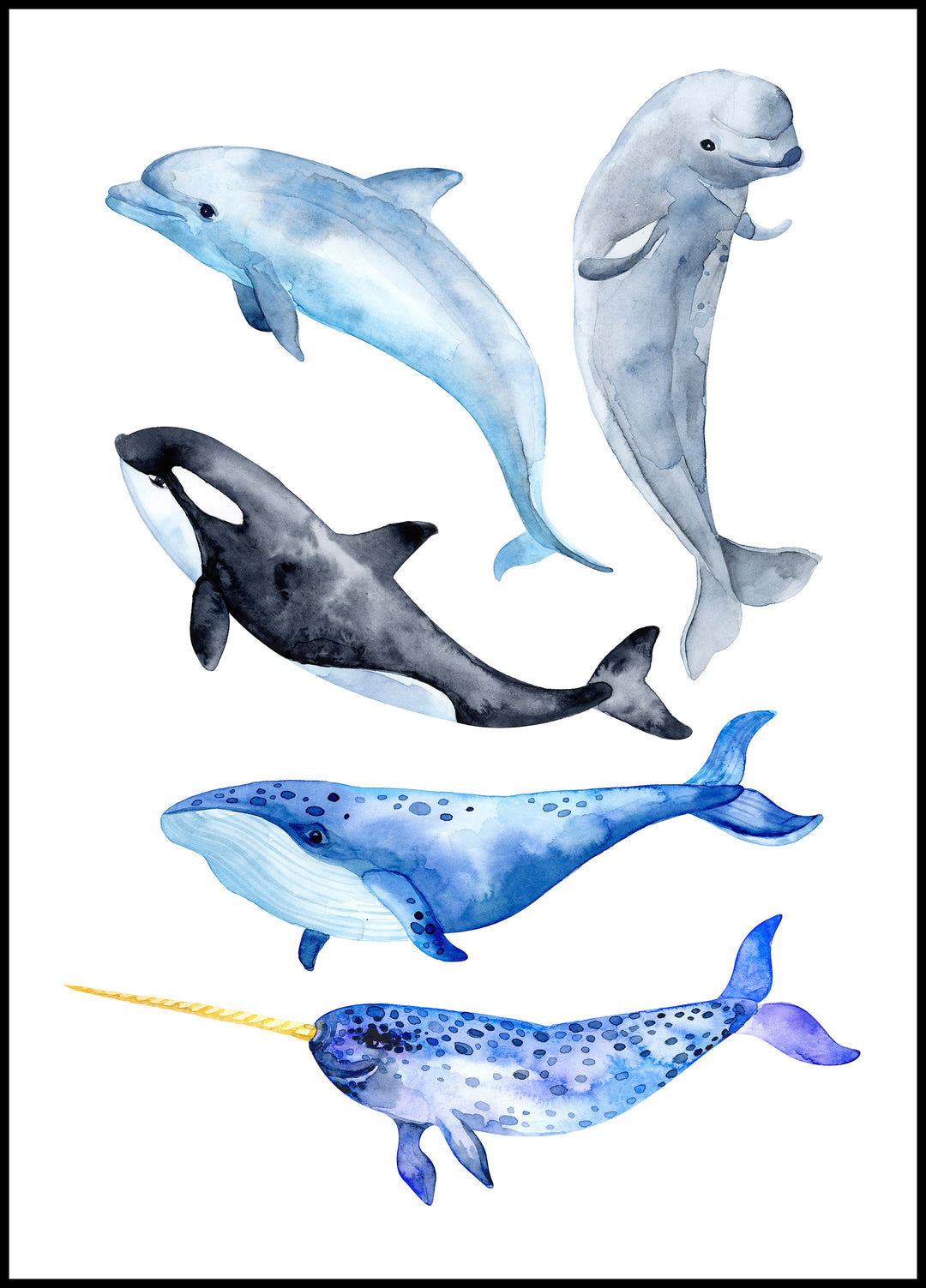 Sea Animals Poster