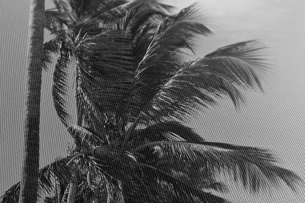 Obraz na płótnie Plaża i palmy czarno biała