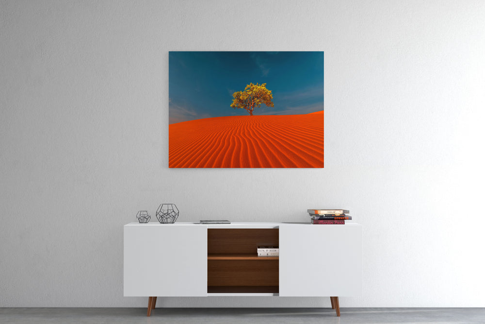 Obraz Samotne drzewo na pustyni