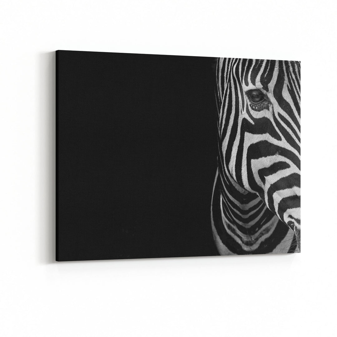 Obraz Zebra 2 czarno-biała