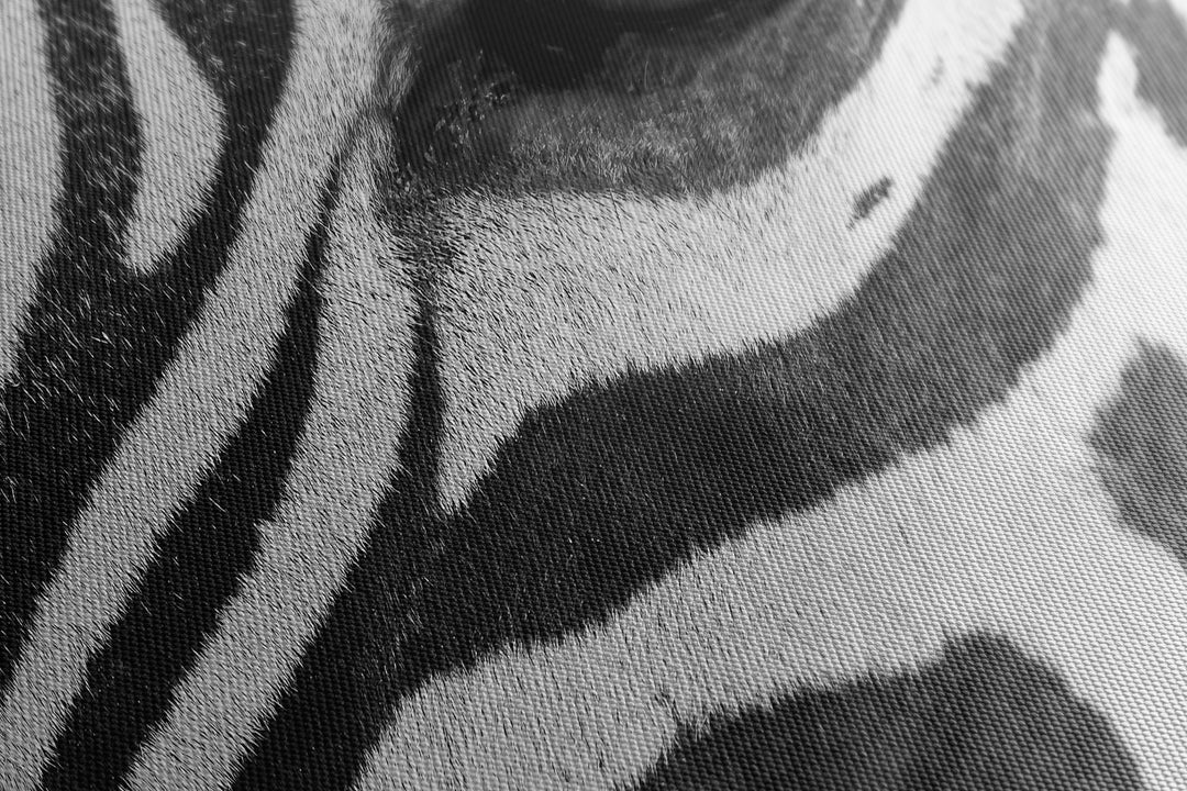 Obraz na płótnie Głowa zebry czarno-biała