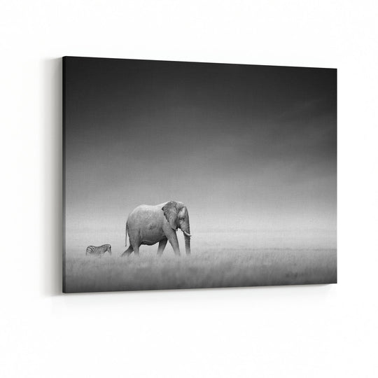 Obraz Słoń i zebra czarno-biały