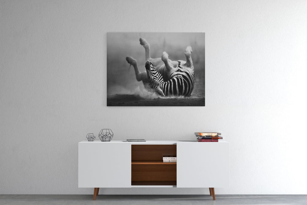 Obraz Zebra 1 czarno-biała