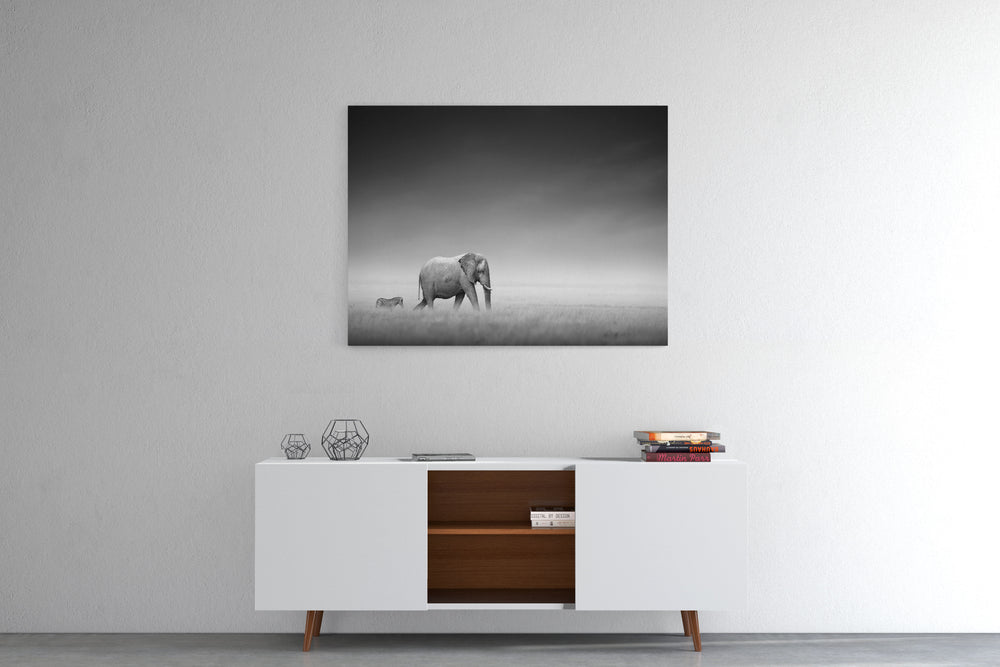 Obraz Słoń i zebra czarno-biały