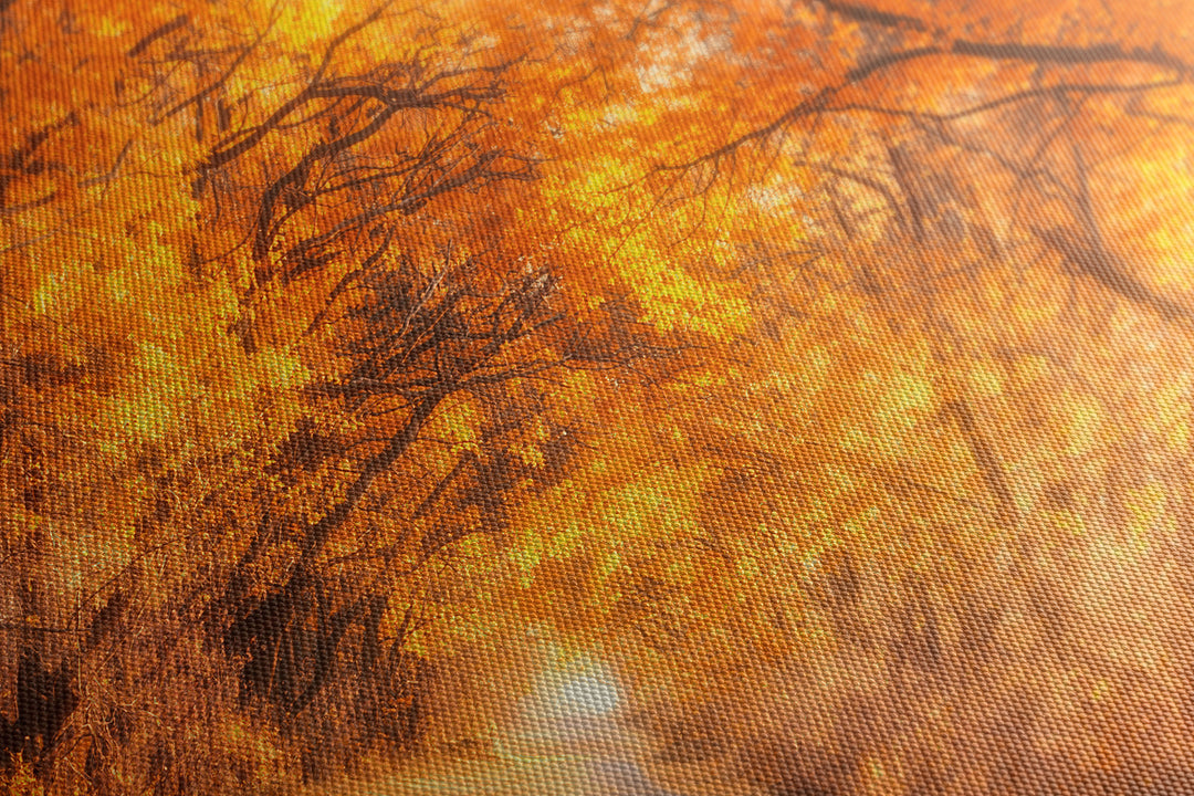 Obraz Jesienna sceneria