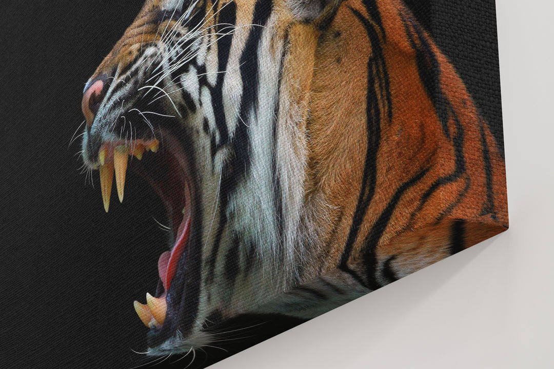 Obraz Tygrys sumatrzański poziomy