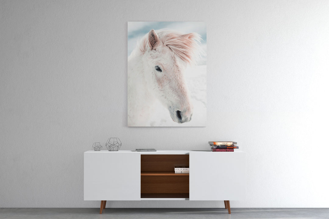 Obraz na płótnie Biały koń