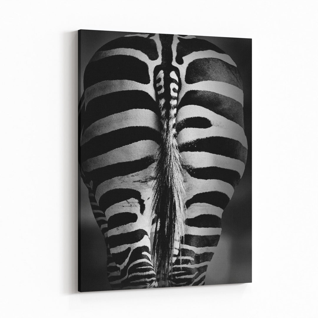Obraz na płótnie Pupa zebry czarno-biała