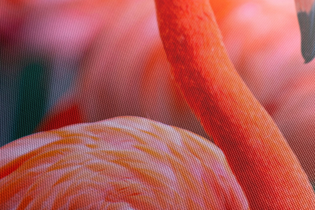 Obraz Flamingi