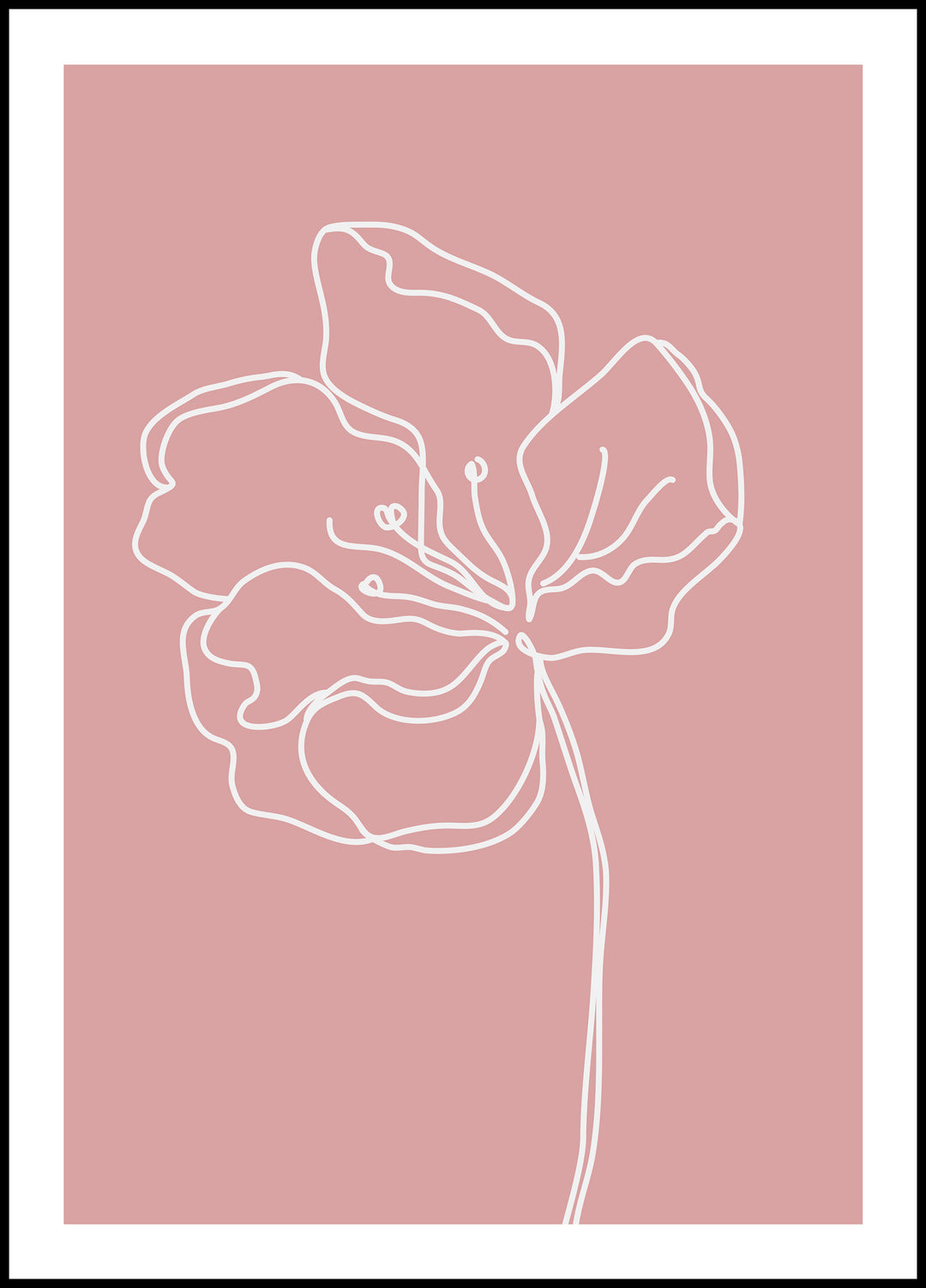 Plakat Kwiat blady róż
