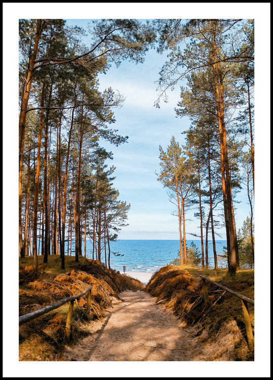 Kolekcja Plakatów - Wybrzeża Europy