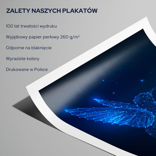 Zalety plakatów Posterimo: 100 lat trwałości wydruku, wyjątkowy papier perłowy 260g/m2, odporne na blaknięcie, wyraziste kolory, drukowane w Polsce