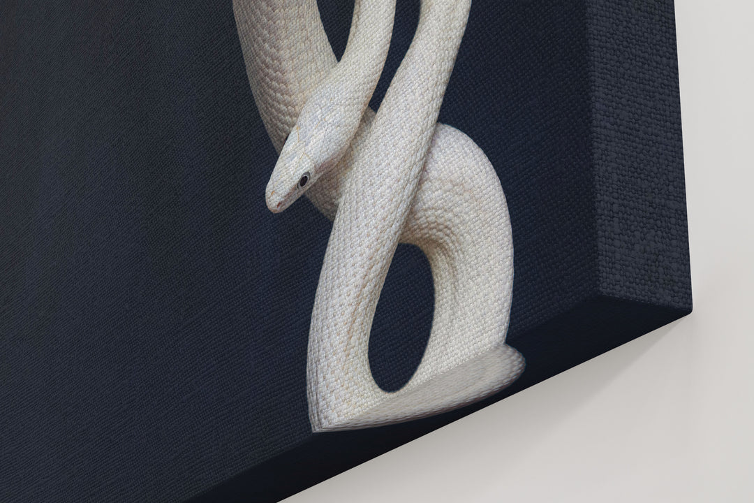 Obraz Biały wąż