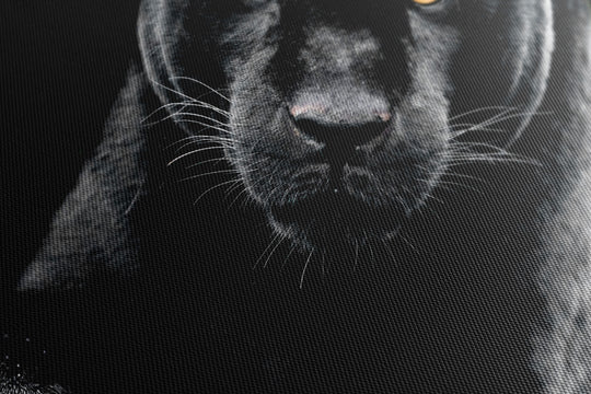 Obraz Czarna pantera