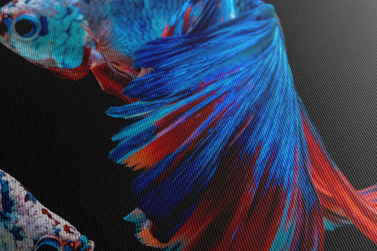 Obraz Neonowe rybki
