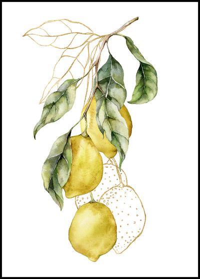 Plakat Cytryny