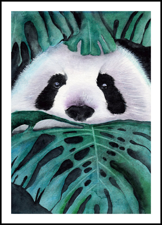 Plakat Panda